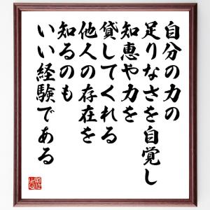 名言「自分の力の足りなさを自覚し、知恵や力を貸してくれる他人の存在を知るのもいい経験である」額付き書道色紙／受注後直筆｜rittermind