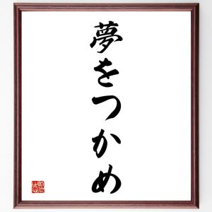 名言「夢をつかめ」額付き書道色紙／受注後直筆｜rittermind