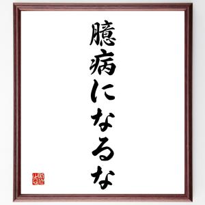 名言「臆病になるな」額付き書道色紙／受注後直筆｜rittermind