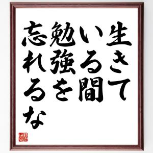 名言「生きている間、勉強を忘れるな」額付き書道色紙／受注後直筆｜rittermind