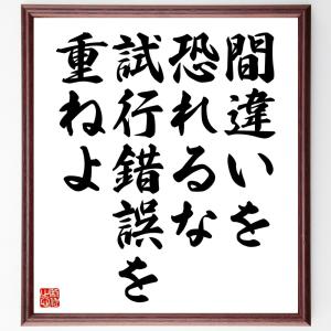 名言「間違いを恐れるな、試行錯誤を重ねよ」額付き書道色紙／受注後直筆｜rittermind