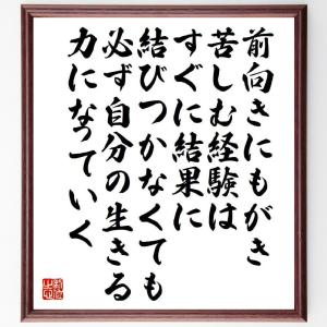 名言「前向きにもがき苦しむ経験は、すぐに結果に結びつかなくても、必ず自分の生きる力になっていく」額付き書道色紙／受注後直筆｜rittermind