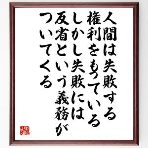 名言「人間は失敗する権利をもっている、しかし失敗には反省という義務がついてくる」額付き書道色紙／受注後直筆｜rittermind