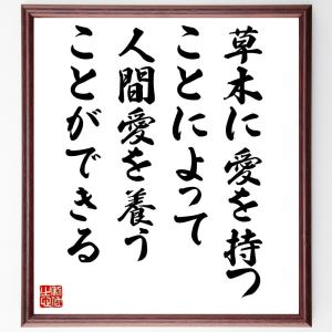 牧野富太郎 本 歴史 心理 教育の本 の商品一覧 本 雑誌 コミック 通販 Yahoo ショッピング