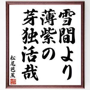 松尾芭蕉の俳句・短歌「雪間より、薄紫の、芽独活哉」額付き書道色紙／受注後直筆｜rittermind