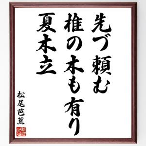 松尾芭蕉の俳句・短歌「先づ頼む、椎の木も有り、夏木立」額付き書道色紙／受注後直筆｜rittermind