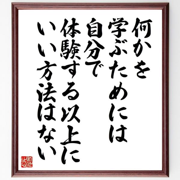 アインシュタインの名言「何かを学ぶためには、自分で体験する以上に、いい方法はない」手書き書道色紙額／...