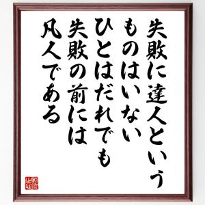 プーシキンの名言「失敗に達人というものはいない、ひとはだれでも、失敗の前には凡人である」額付き書道色紙／受注後直筆