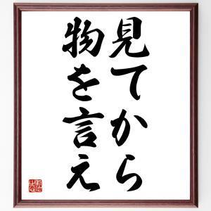 名言「見てから物を言え」額付き書道色紙／受注後直筆