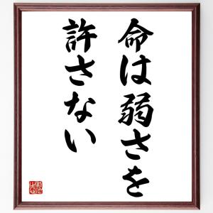 書道色紙 名言 命は弱さを許さない 額付き 受注後直筆品 ウィルマート