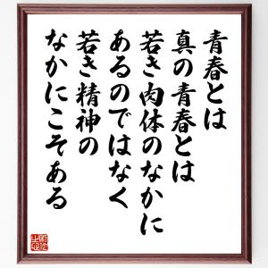 サミュエル・ウルマンの名言「青春とは、真の青春とは、若き肉体のなかにあるのではなく、若き精神のなかにこそある」額付き書道色紙／受注後直筆｜rittermind