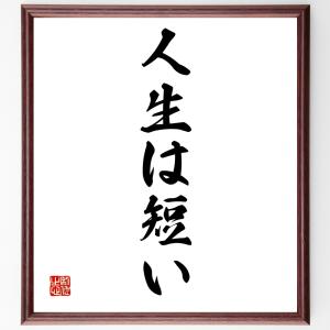 最高級 書道色紙アントン チェーホフの名言 平らな道でもつまずくこと 額付き受注後直筆 Y2690 色紙 Www Meyer Be