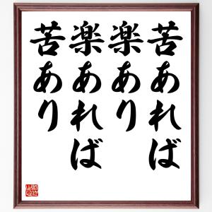 名言「苦あれば楽あり、楽あれば苦あり」額付き書道色紙／受注後直筆｜rittermind