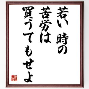 名言「若い時の苦労は買うてもせよ」額付き書道色紙／受注後直筆｜rittermind