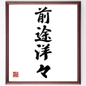 四字熟語「前途洋々」額付き書道色紙／受注後直筆｜rittermind