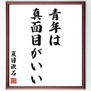 夏目漱石の名言「青年は真面目がいい」額付き書道色紙／受注後直筆