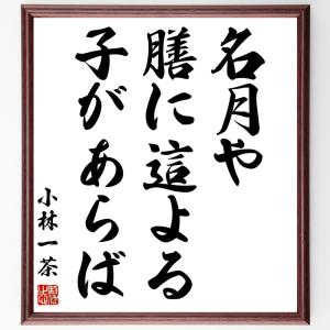 小林一茶の名言「名月や、膳に這よる、子があらば」額付き書道色紙／受注後直筆｜rittermind