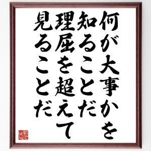 名言「何が大事かを知ることだ、理屈を超えて見ることだ」額付き書道色紙／受注後直筆｜rittermind