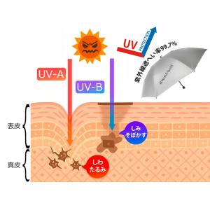 特価 モンベル 日傘 晴雨兼用 遮光 UVカッ...の詳細画像5