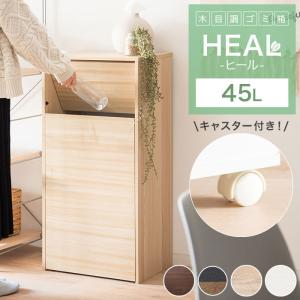 ゴミ箱 おしゃれ 45リットル 北欧 縦型 45...の商品画像