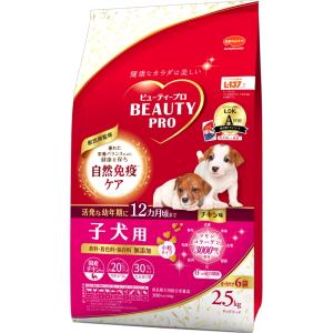 日本ペット】コンボ ドッグ もっちりふっくら 11歳以上 540g