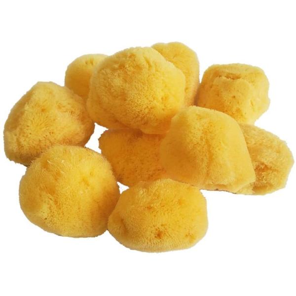 天然スポンジ海綿 3cm前後の10個入 シルク種　メイク用 乾燥肌 トラブル肌 赤ちゃん 沐浴 天然...