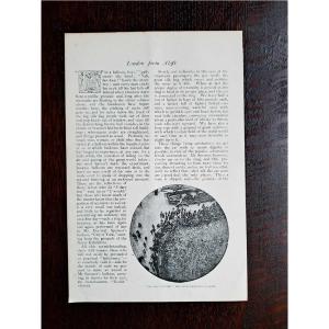 【Rivoli Antiques】シャーロック...の詳細画像1