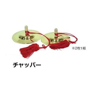 ゼンオン扱い　チャッパー　6寸