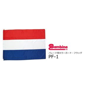 ゼンオン/バンビーナ　パレード用 マーチング カラーガード・フラッグ　PF-1