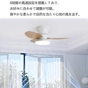 シーリングファンライト シーリングファン le...の詳細画像2