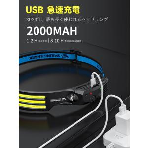Smiling Shark ヘッドライト 充電...の詳細画像2
