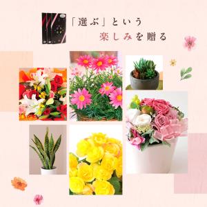 カタログギフト 花のギフト社 チョイスギフトフ...の詳細画像4
