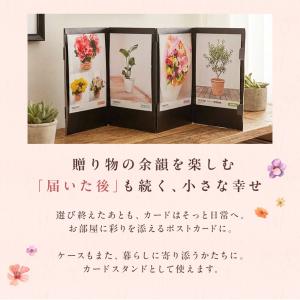 カタログギフト 花のギフト社 チョイスギフトフ...の詳細画像5