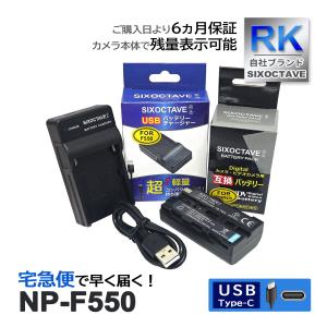 【互換品】 NP-F550 ソニー SONY NP-F330 NP-F530 NP-F570  互換 バッテリー 1個と 互換 USB充電器 の2点セット｜RKショップ