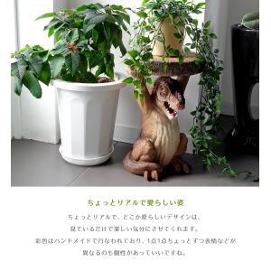 アニマル プランタースタンド / ティラノサウ...の詳細画像3