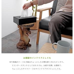 アニマル プランタースタンド / ティラノサウ...の詳細画像4