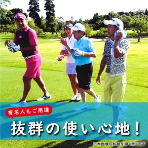 飛衛門 TOBIEMON 氷嚢 氷のう アイス...の詳細画像1