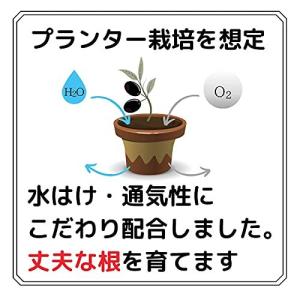 オリーブの土の商品一覧 通販 Yahoo ショッピング