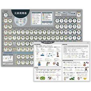 ノートライフ お風呂ポスター 元素周期表 A2サイズ  防水 日本製 A3ポスター解説付き