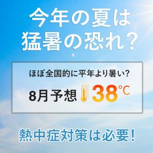 冷感パッド クールベスト 保冷剤リュック 熱中...の詳細画像1