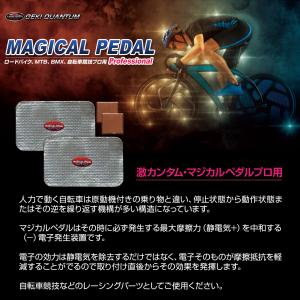激カンタム マジカルペダル プロフェッショナル...の詳細画像2