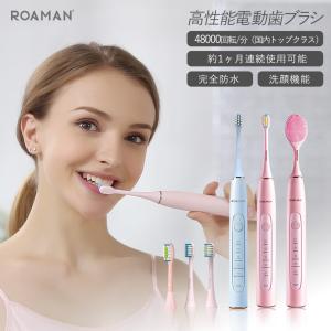 Doltz EW-DP55-S パナソニック 音波振動ハブラシ ドルツ 電動歯ブラシ