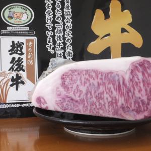 新潟県産 越後牛 サーロインブロック 840ｇ