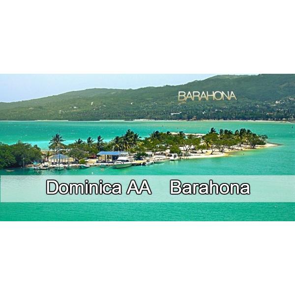 ドミニカAAバラオナ（中煎り）100g