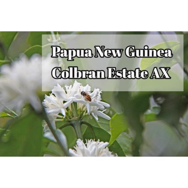 （中深煎り）パプアニューギニアコルブラン農園アリューシャ100g