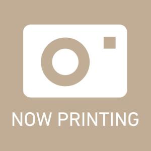 【スバル/SUBARU】ロビンエンジン 純正 部...の商品画像