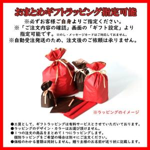 PUSUPUSU 恐竜 ペーパークラフト 誕生...の詳細画像4
