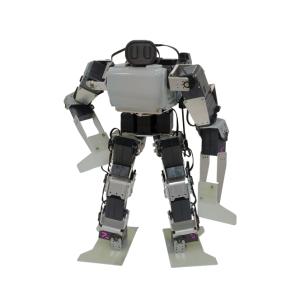 ROBO-ONEカスタム マツノスペシャル【数量限定・受注販売】