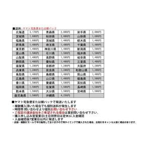 定39万 英国 LEE BROOM ガラスシェ...の詳細画像4