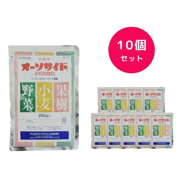 10個セット  オーソサイド水和剤80 250g  炭そ病 べと病 すす班病 灰星病